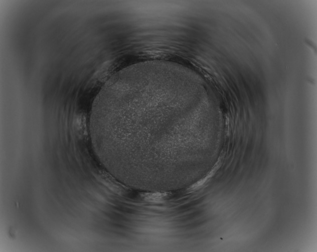 X0000091700182200709071357