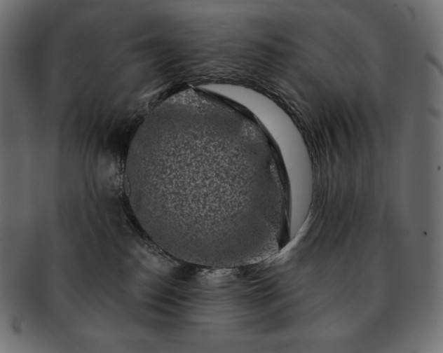 X0000091700186200709071357