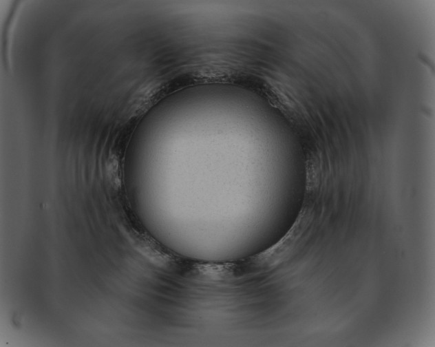 X0000091700187200709071357