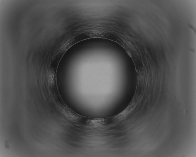 X0000091700188200709071357