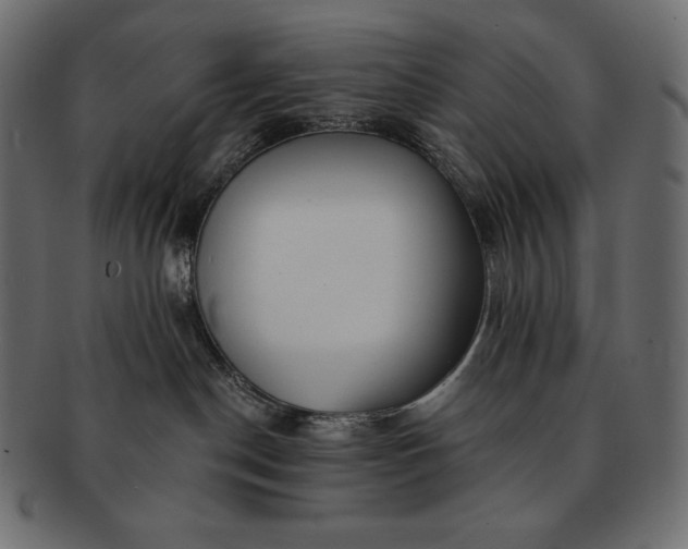 X0000091700190200709071357