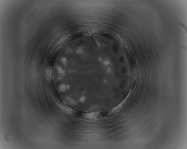 X0000091700191200709071357