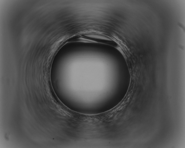 X0000091700193200709071356