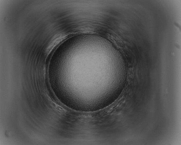 X0000091700194200709071356