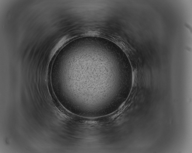 X0000091700195200709071356