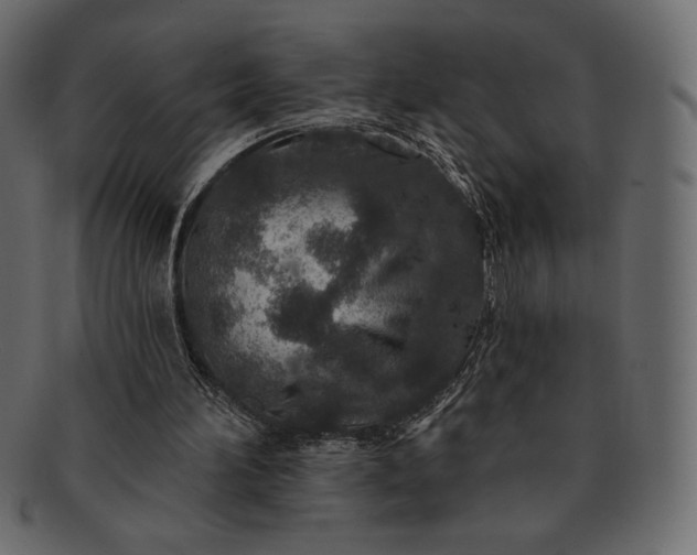 X0000091700196200709071356