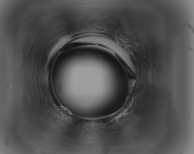 X0000091700197200709071356