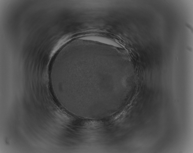 X0000091700198200709071356