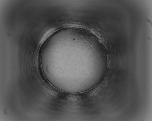 X0000091700199200709071356