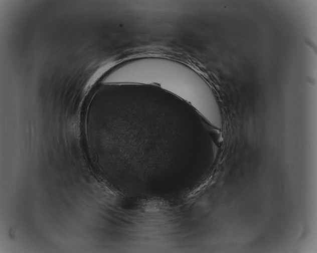 X0000091700200200709071356