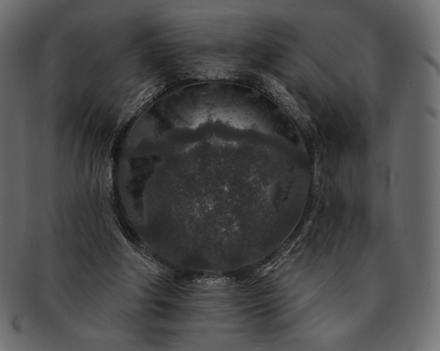 X0000091700202200709071356