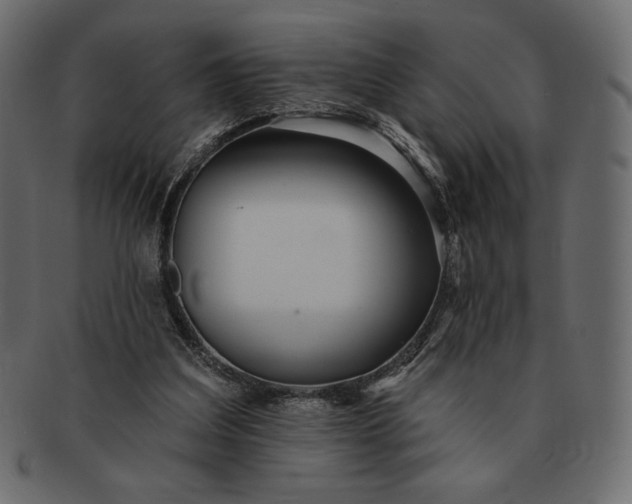 X0000091700203200709071356