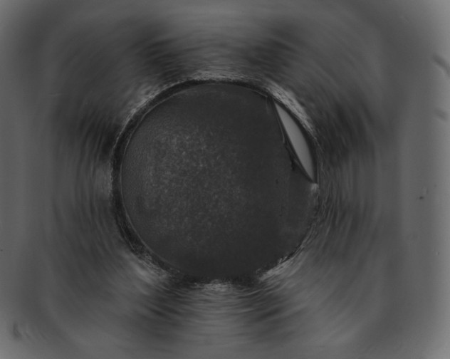 X0000091700204200709071356