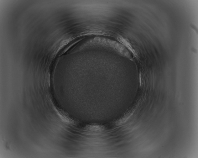 X0000091700205200709071356