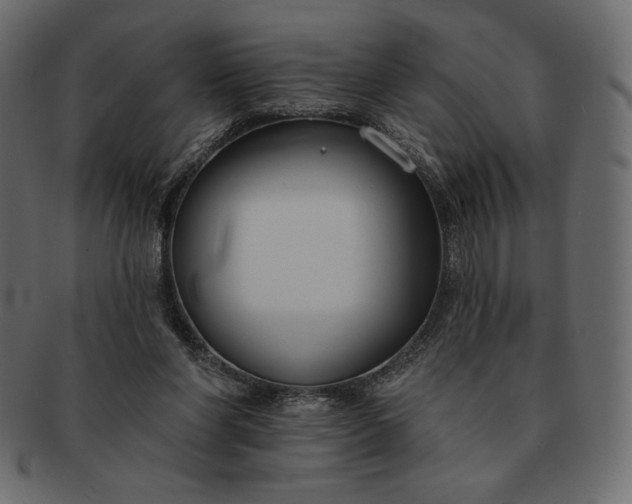 X0000091700206200709071356