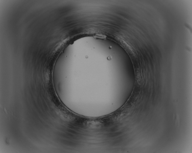 X0000091700208200709071356