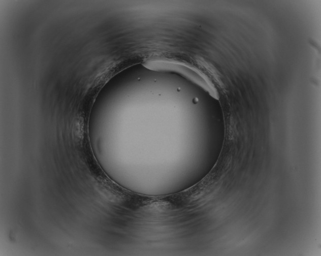 X0000091700210200709071356