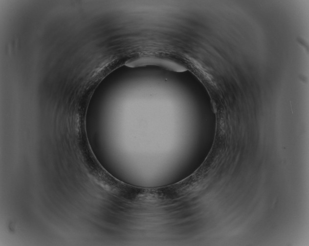 X0000091700211200709071356