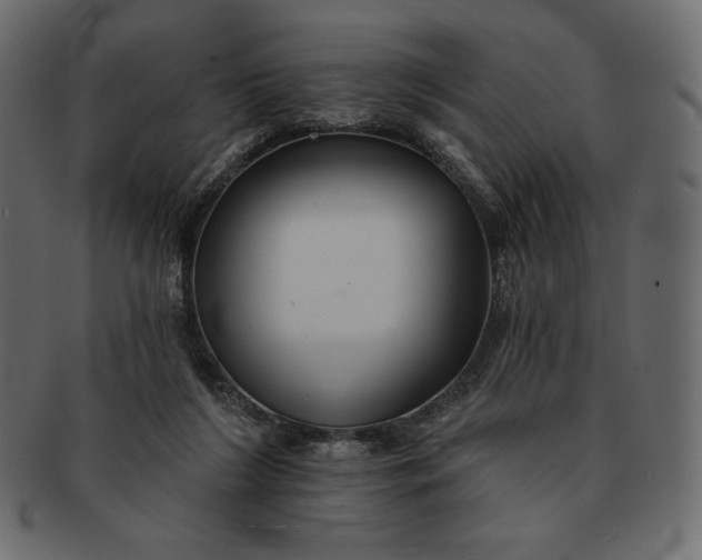 X0000091700212200709071356