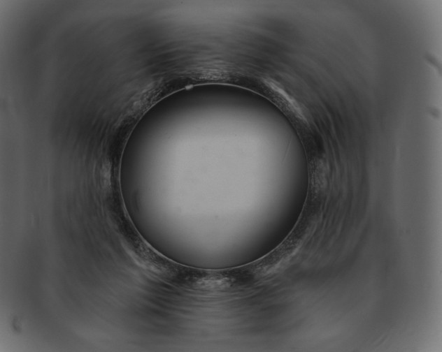 X0000091700213200709071356