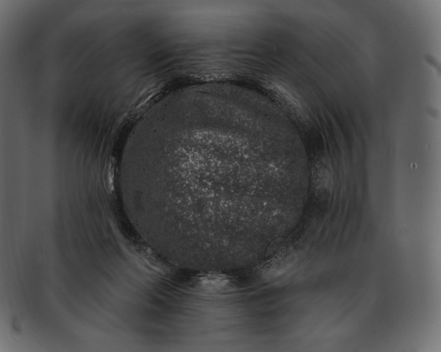 X0000091700214200709071356