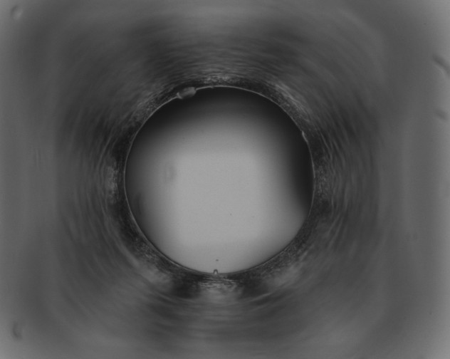 X0000091700215200709071356