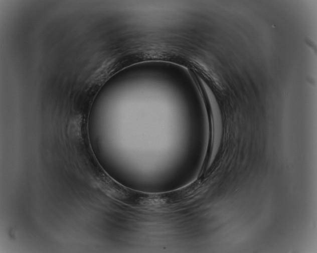 X0000091700217200709071356