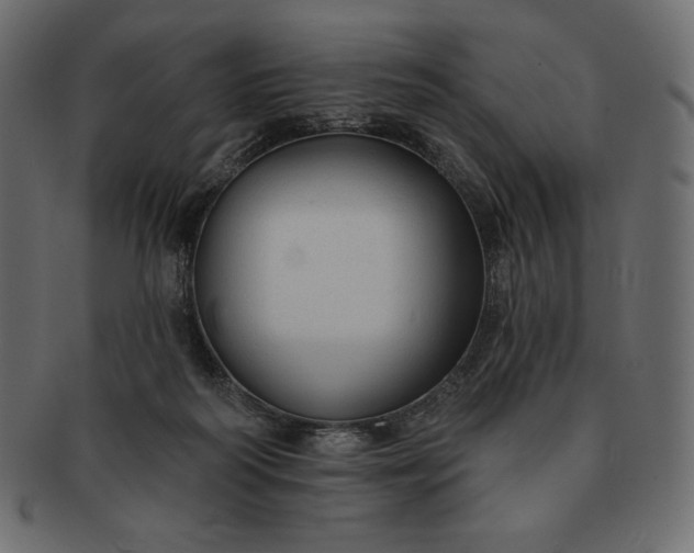 X0000091700218200709071356