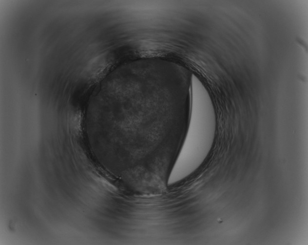 X0000091700219200709071356