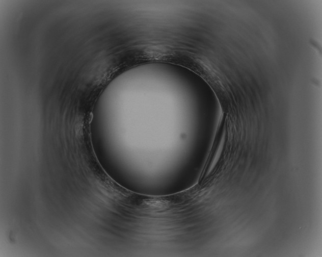 X0000091700221200709071356