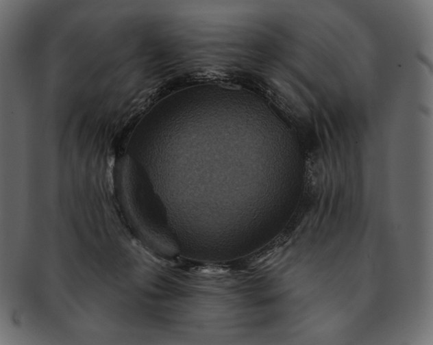 X0000091700223200709071356