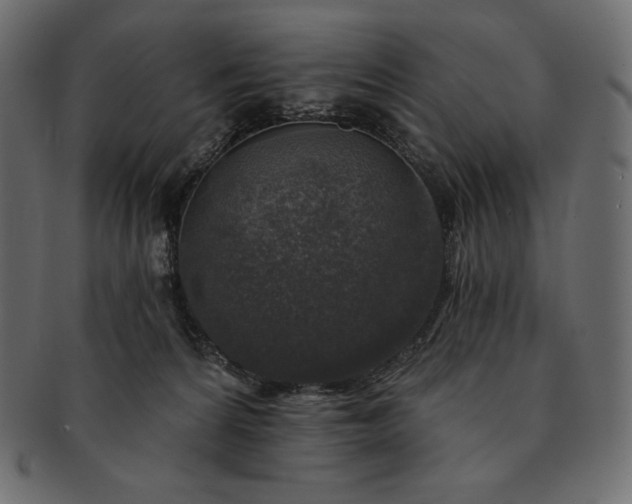 X0000091700224200709071356