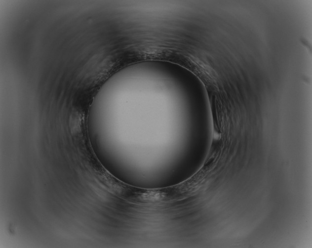 X0000091700225200709071356