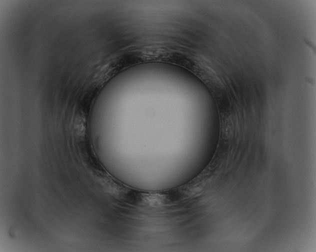 X0000091700226200709071356