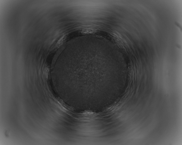 X0000091700227200709071356