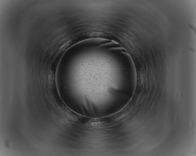 X0000091700228200709071356