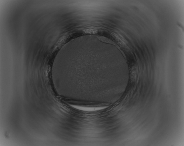 X0000091700229200709071356