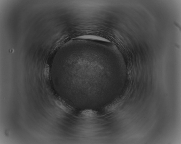 X0000091700231200709071356