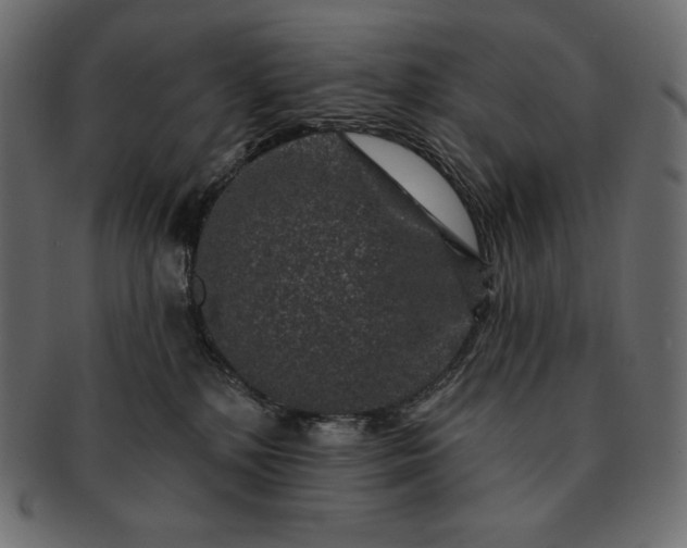 X0000091700232200709071356