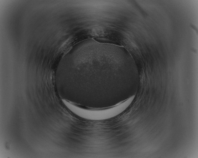 X0000091700233200709071356