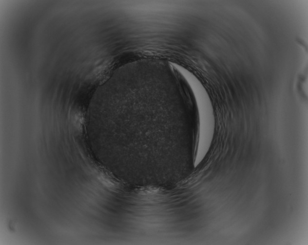 X0000091700235200709071356