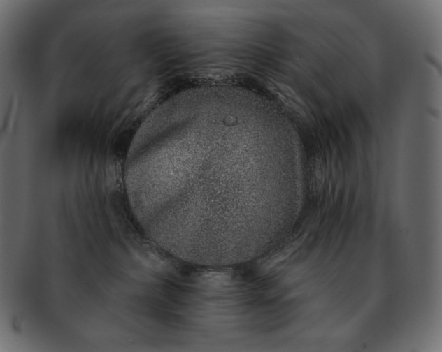 X0000091700236200709071356