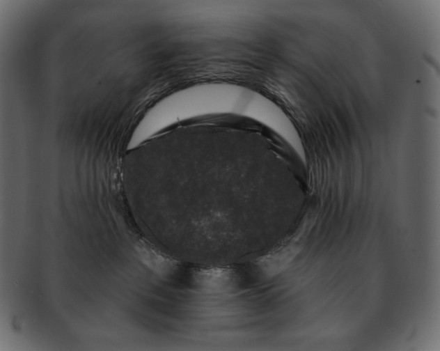 X0000091700237200709071356