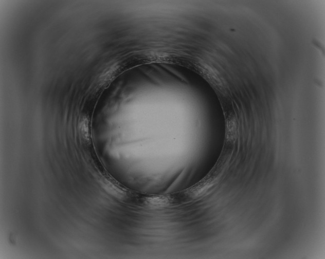 X0000091700238200709071356