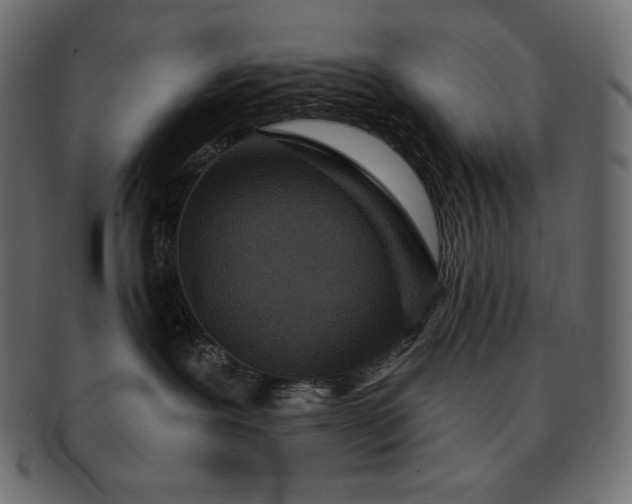 X0000091700239200709071356