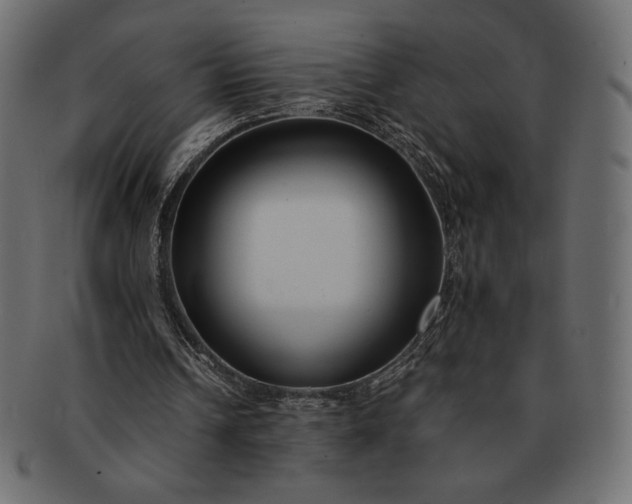 X0000091700242200709071355