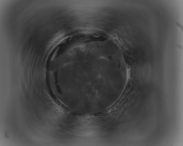 X0000091700243200709071355