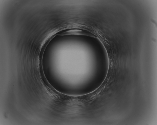 X0000091700244200709071355