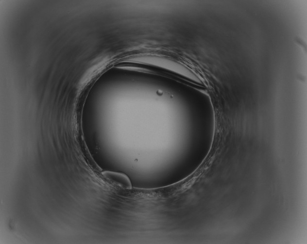 X0000091700245200709071355