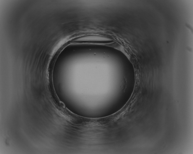 X0000091700246200709071355